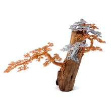 Load image into Gallery viewer, Poised