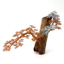 Load image into Gallery viewer, Poised