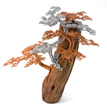 Load image into Gallery viewer, Poised