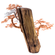 Load image into Gallery viewer, Poised