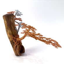 Load image into Gallery viewer, Poised