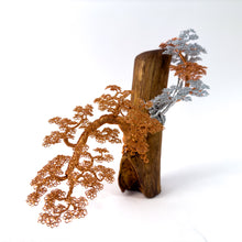 Load image into Gallery viewer, Poised