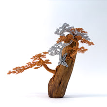 Load image into Gallery viewer, Poised