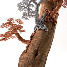 Load image into Gallery viewer, Poised