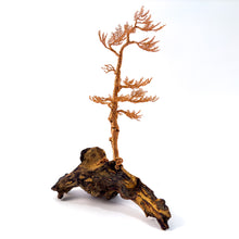 Load image into Gallery viewer, Lingering