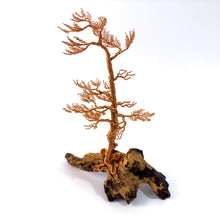 Load image into Gallery viewer, Lingering