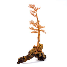 Load image into Gallery viewer, Lingering