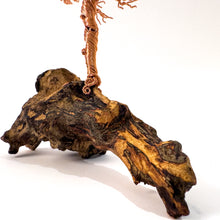 Load image into Gallery viewer, Lingering