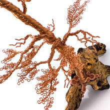 Load image into Gallery viewer, Lingering