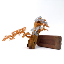 Load image into Gallery viewer, Poised