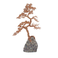 Load image into Gallery viewer, Enduring