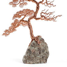 Load image into Gallery viewer, Enduring