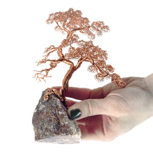 Load image into Gallery viewer, Enduring