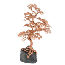 Load image into Gallery viewer, Counter Point