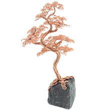 Load image into Gallery viewer, Counter Point