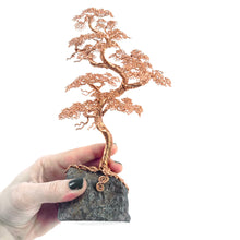 Load image into Gallery viewer, Counter Point