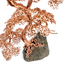 Load image into Gallery viewer, Counter Point