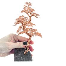 Load image into Gallery viewer, Counter Point