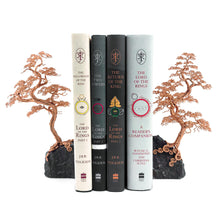 Load image into Gallery viewer, Counter Point