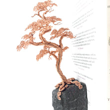 Load image into Gallery viewer, Counter Point