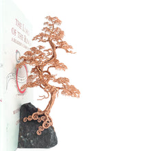 Load image into Gallery viewer, Counter Point