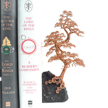 Load image into Gallery viewer, Counter Point