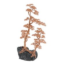 Load image into Gallery viewer, Maternal IV