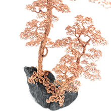 Load image into Gallery viewer, Maternal IV