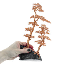 Load image into Gallery viewer, Maternal IV