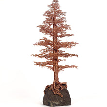 Load image into Gallery viewer, Seen From Afar