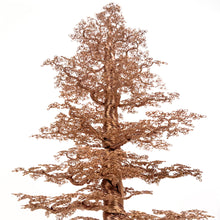 Load image into Gallery viewer, Seen From Afar