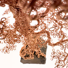 Load image into Gallery viewer, Seen From Afar