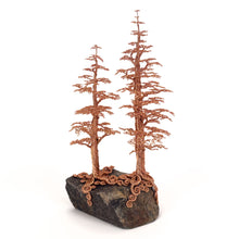 Load image into Gallery viewer, Accompany