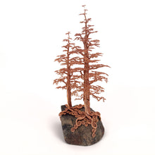 Load image into Gallery viewer, Accompany