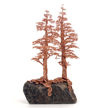 Load image into Gallery viewer, Accompany