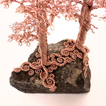 Load image into Gallery viewer, Accompany