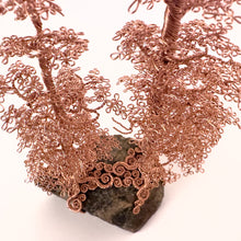 Load image into Gallery viewer, Accompany