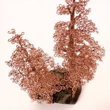 Load image into Gallery viewer, Accompany