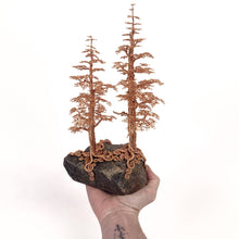 Load image into Gallery viewer, Accompany