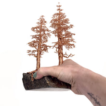 Load image into Gallery viewer, Accompany