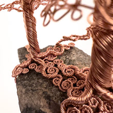 Load image into Gallery viewer, Accompany