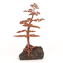 Load image into Gallery viewer, Flexed