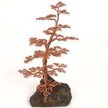 Load image into Gallery viewer, Flexed