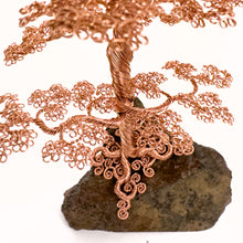 Load image into Gallery viewer, Flexed