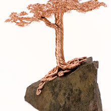 Load image into Gallery viewer, Flexed