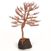 Load image into Gallery viewer, Lofty