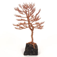 Load image into Gallery viewer, Lofty