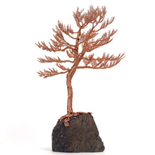 Load image into Gallery viewer, Lofty