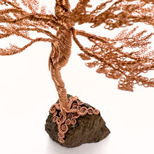 Load image into Gallery viewer, Lofty