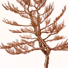 Load image into Gallery viewer, Lofty